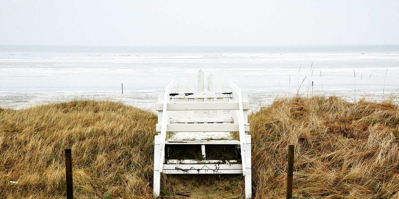 化工原料46：揭秘其核心应用与选购指南，金诚化工等广州优质供应商解析