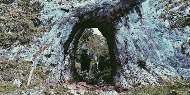 化工原料47:揭秘工业化学品的关键角色与广州化工产业生态