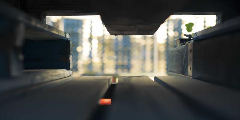 化工原料78：金诚化工如何以高品质助剂赋能产业升级