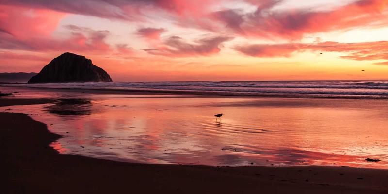 化工原料发展新篇章:金诚化工以创新助剂驱动产业升级