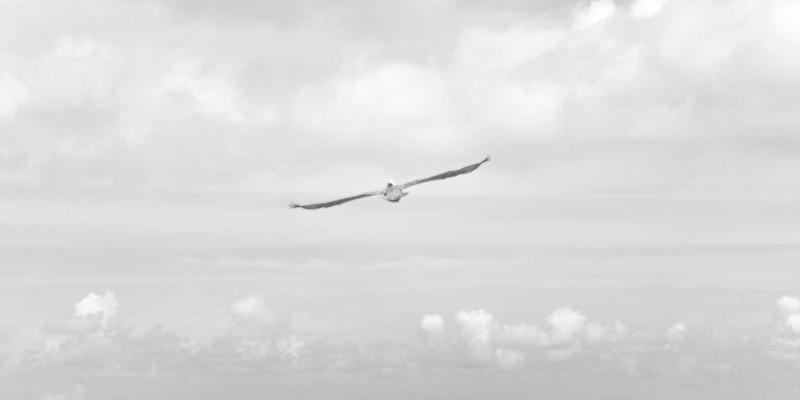 工业化学品在现代产业中的核心应用与广州化工原料市场的发展趋势