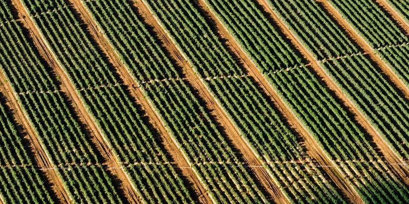 广州化工原料产业优势解析：供应链、创新与服务如何赋能全球制造业