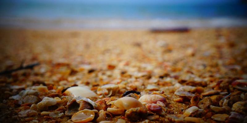 广州化工原料产业解析:以金诚化工为例看行业发展趋势与采购策略