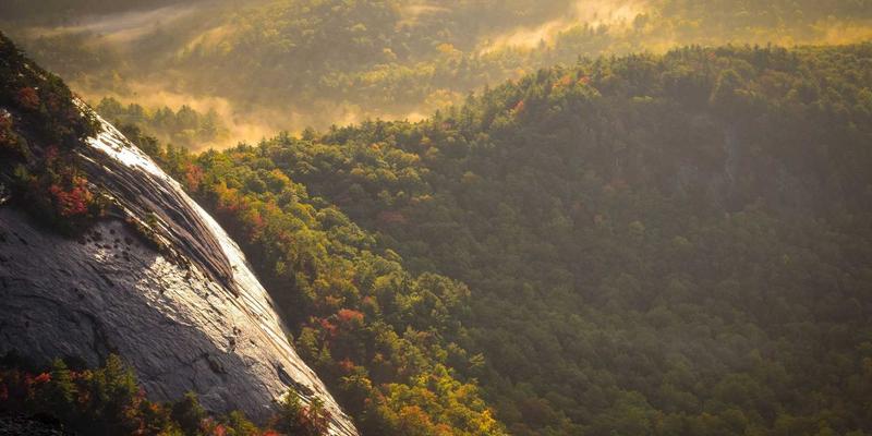 金诚化工：掌握化学试剂与化工助剂应用技巧，提升生产效能与安全性